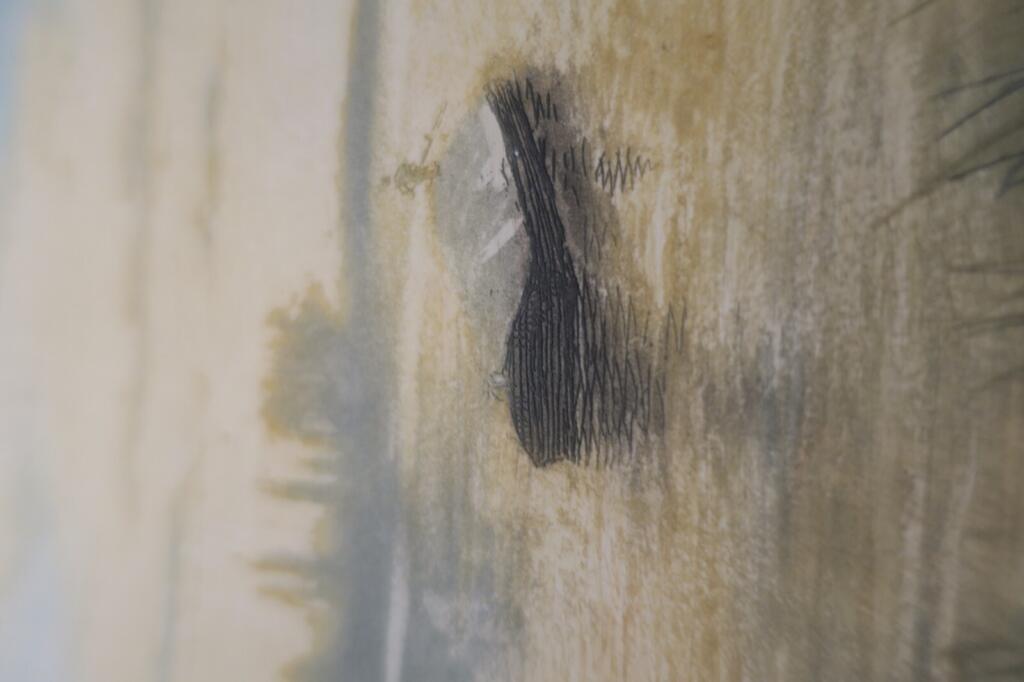 Aquarell von Gustave Fraipont