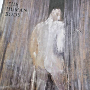 Francis Bacon The Human Body
