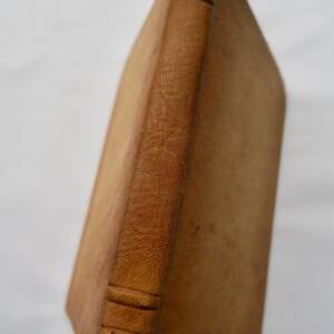 FRANCIS Robert Le gardien d'épaves H. d'une famille sous la 3ème rep.