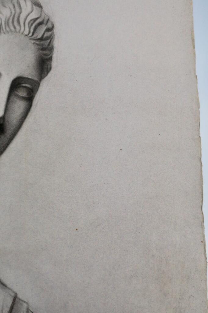 Original Charcoal Drawing 49 x 63 cm