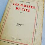 Die Wurzeln des Himmels von Gary-Romain