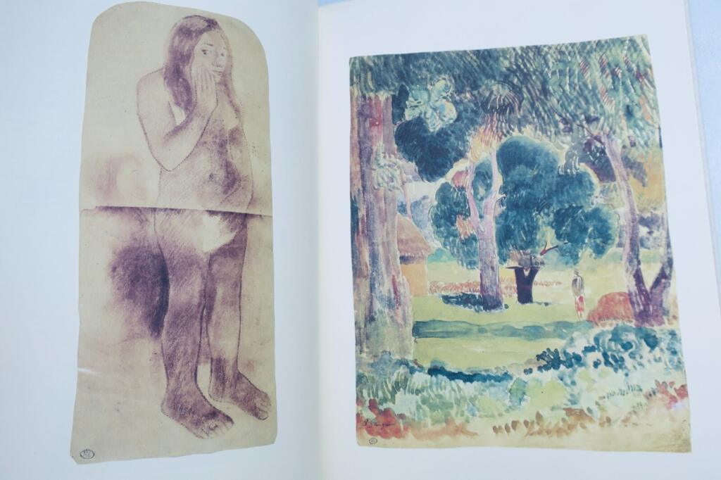 Gauguin's Artistic Journey