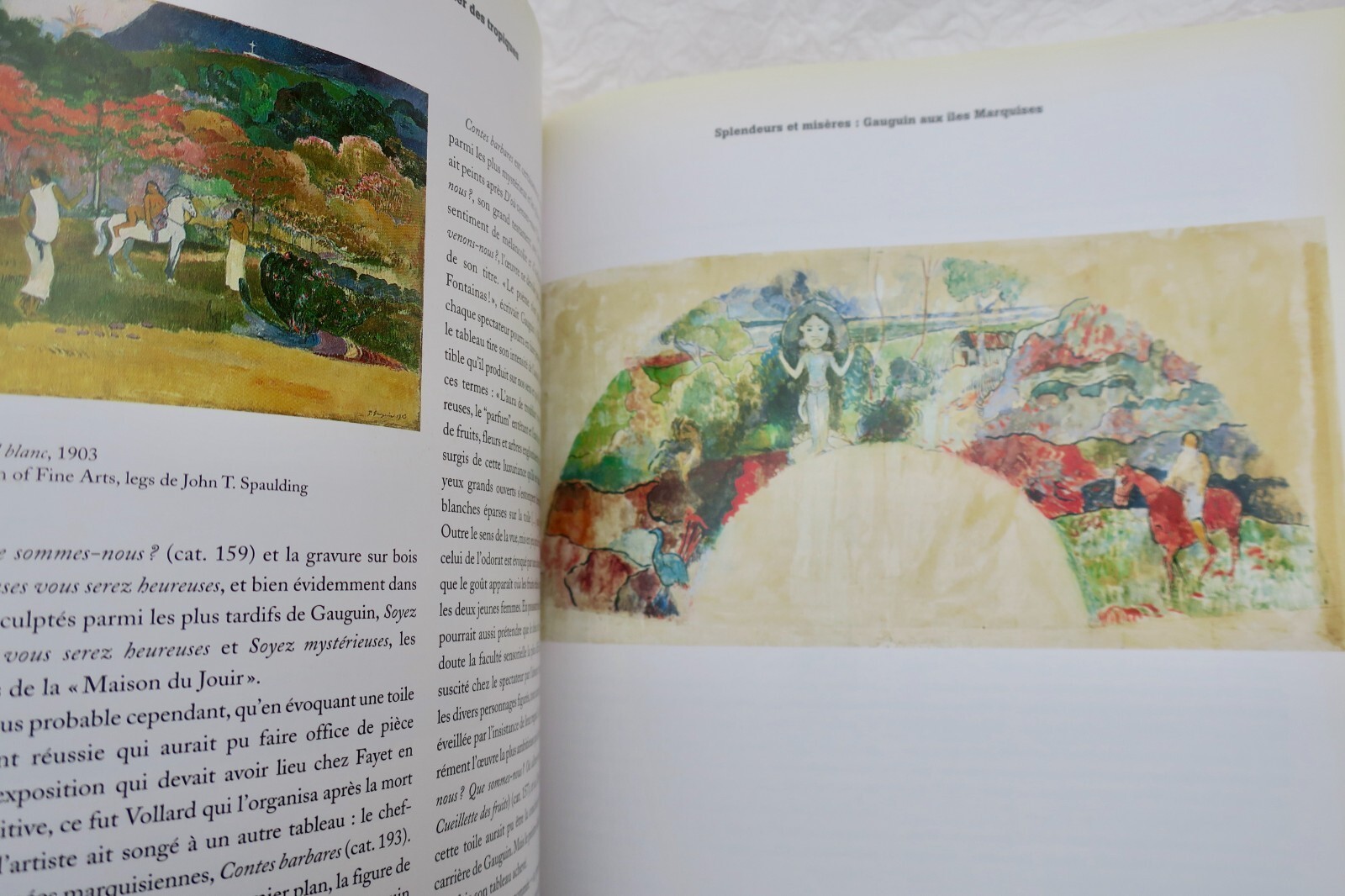 Gauguin's Tropical Studio in Tahiti – Image 3