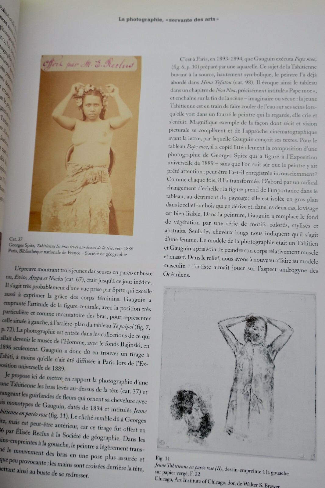 Gauguin's Tropical Studio in Tahiti – Image 10