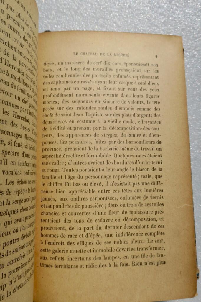 Classic French Novel