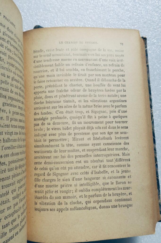 Classic French Novel