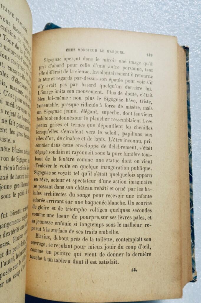 Classic French Novel