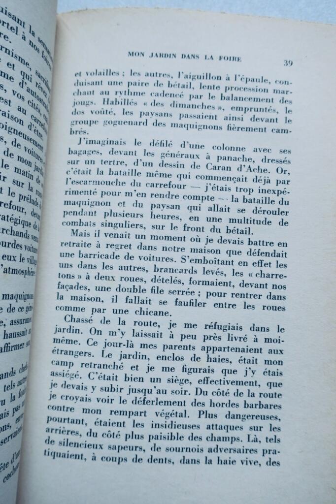 Insights from a Gascony Infantryman