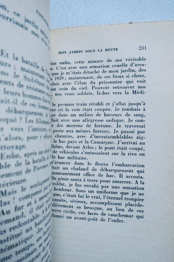 Insights from a Gascony Infantryman