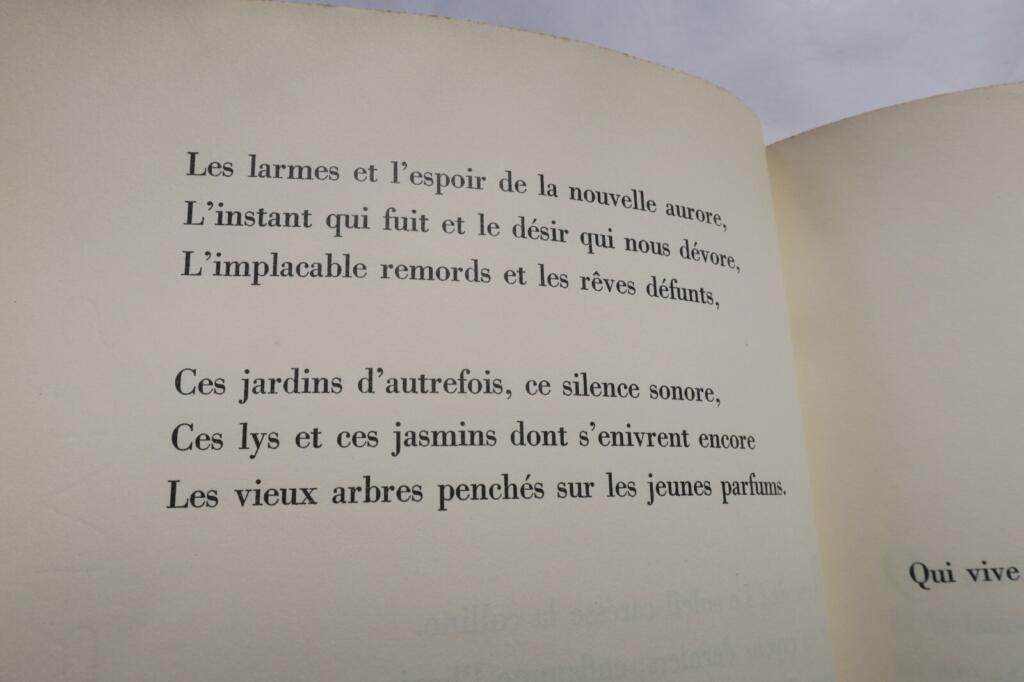 Poetische Sonette für eine zeitlose Figur