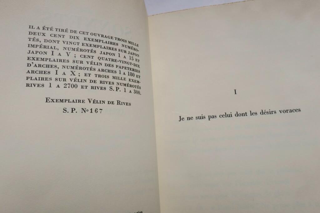 Poetische Sonette für eine zeitlose Figur