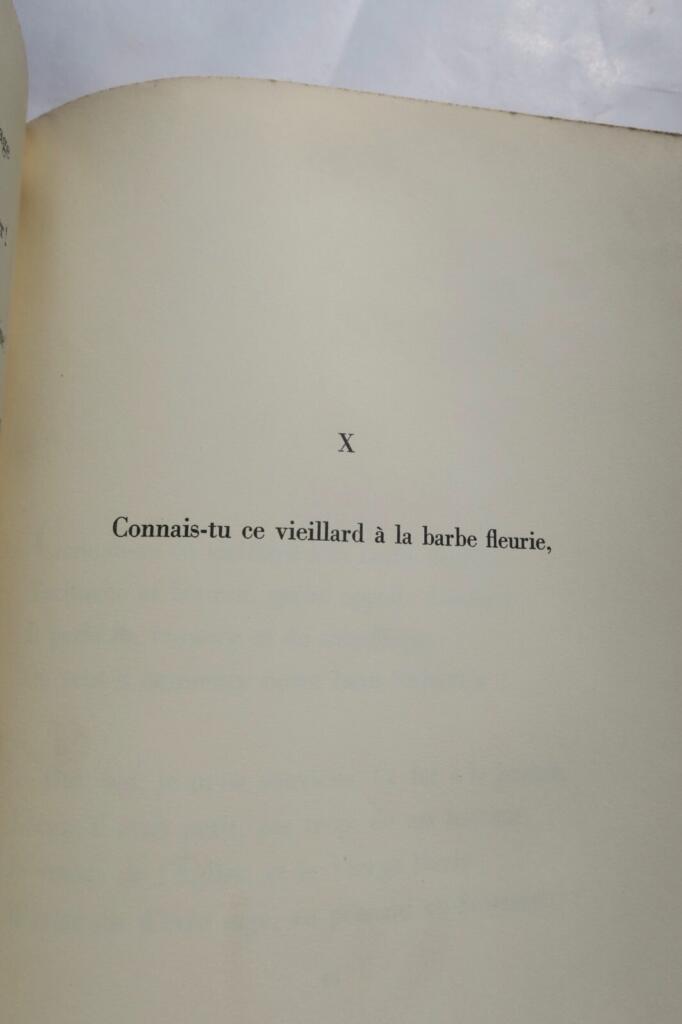 Poetische Sonette für eine zeitlose Figur