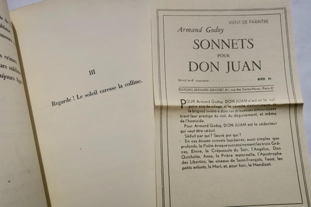 Poetische Sonette für eine zeitlose Figur