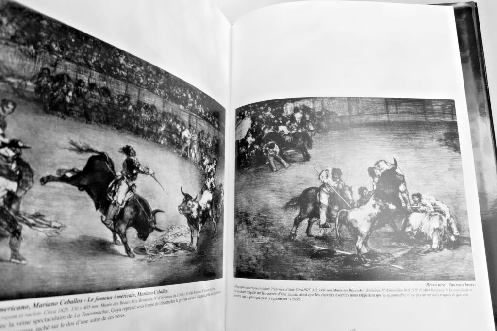 Goya: Gravures & lithographies