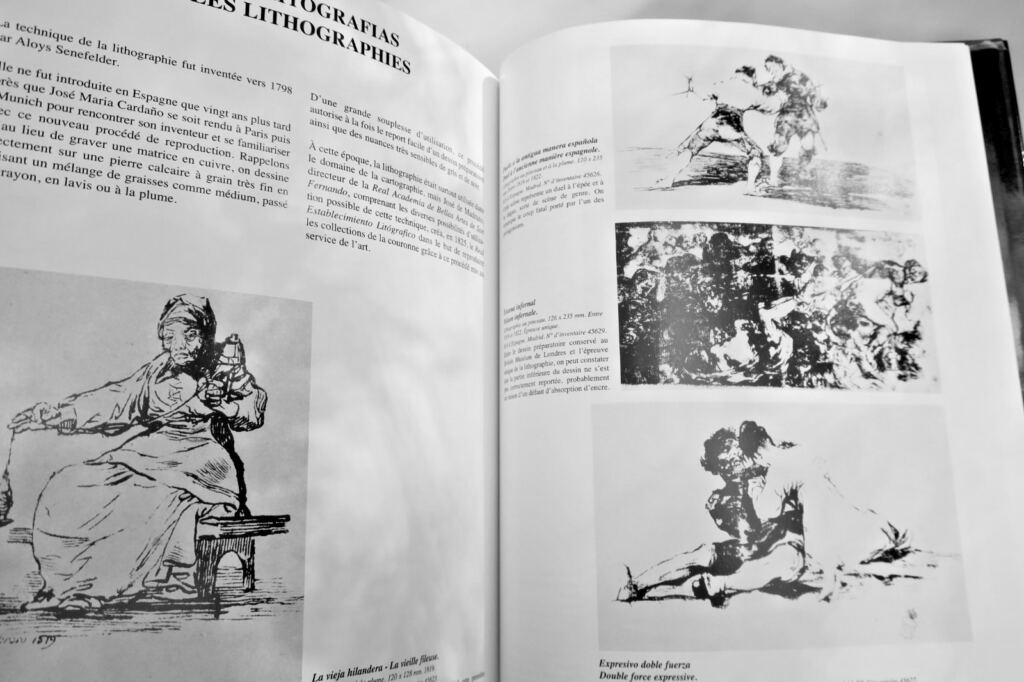 Goya: Engravings & Lithographs
