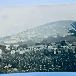 Grasse 1913 photo-carte récolte