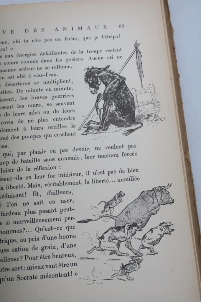 動物のストライキの図解