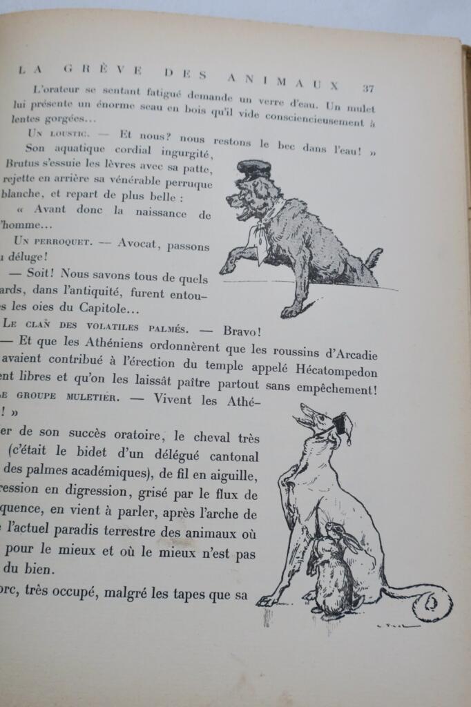動物のストライキの図解