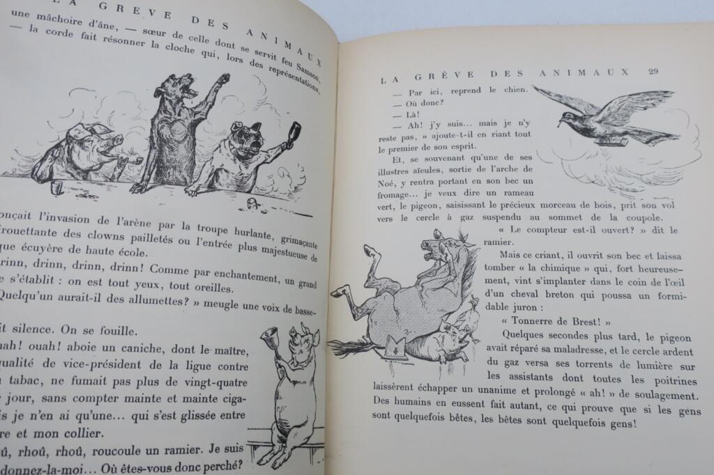動物のストライキの図解