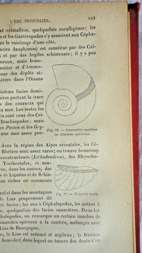 Geology with 151 Illustrated Figures
