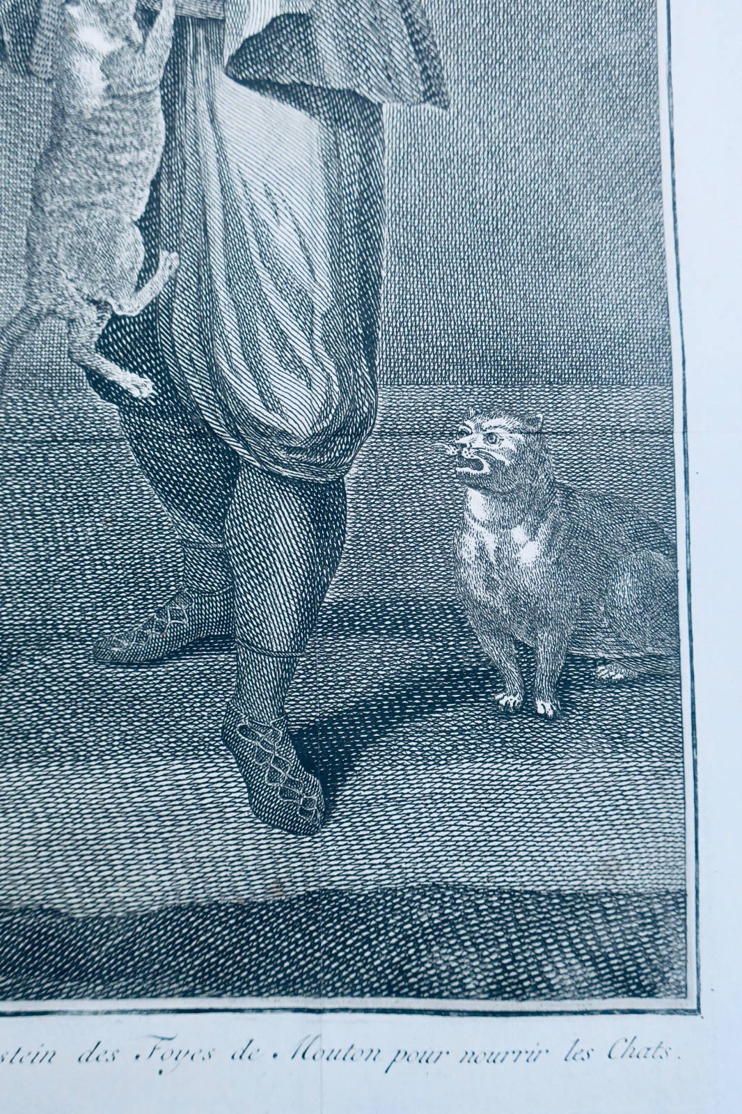 Guerdgi Albanois qui porte au Bezestein des Foyes de Mouton pour nourrir les cha – Image 3