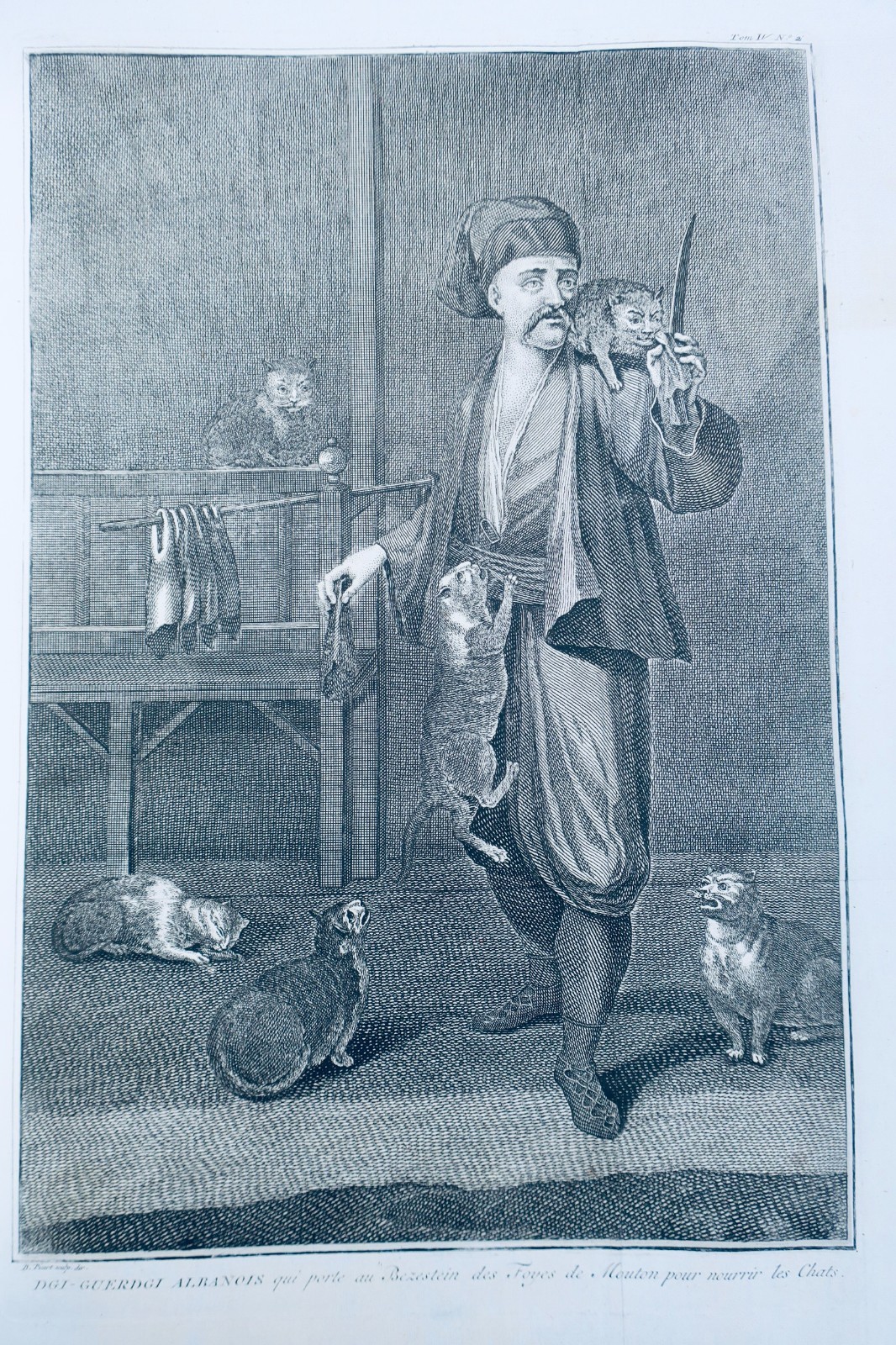 Guerdgi Albanois qui porte au Bezestein des Foyes de Mouton pour nourrir les cha – Image 5