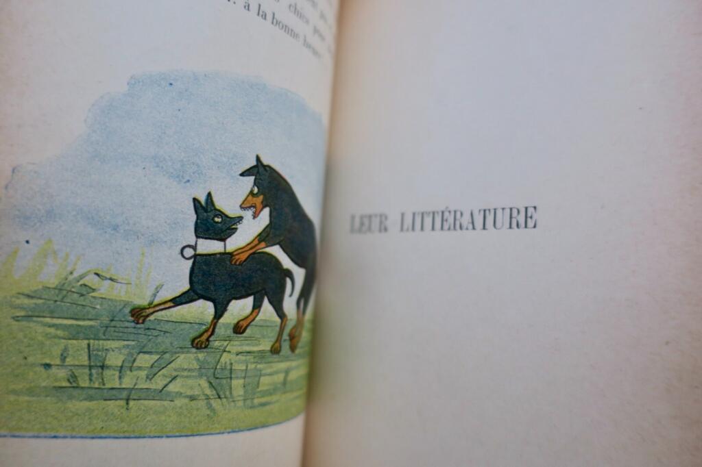 High Society: Illustrated with colored images