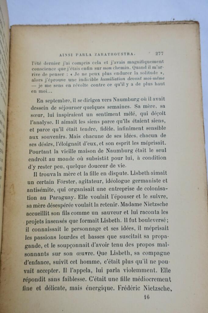 Biografie von Frédéric Nietzsche
