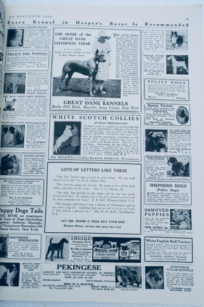 Harper&rsquo;s Bazar November 1922