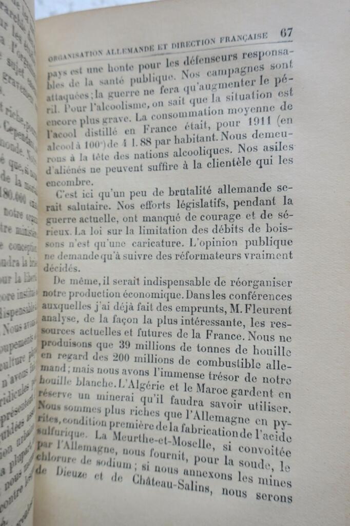 エルリョの1917年政治宣言