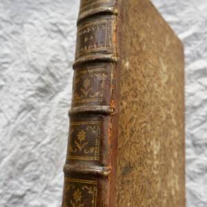 Histoire de La Reine Marguerite de Valois, Premiere Femme du Roi Henri IV