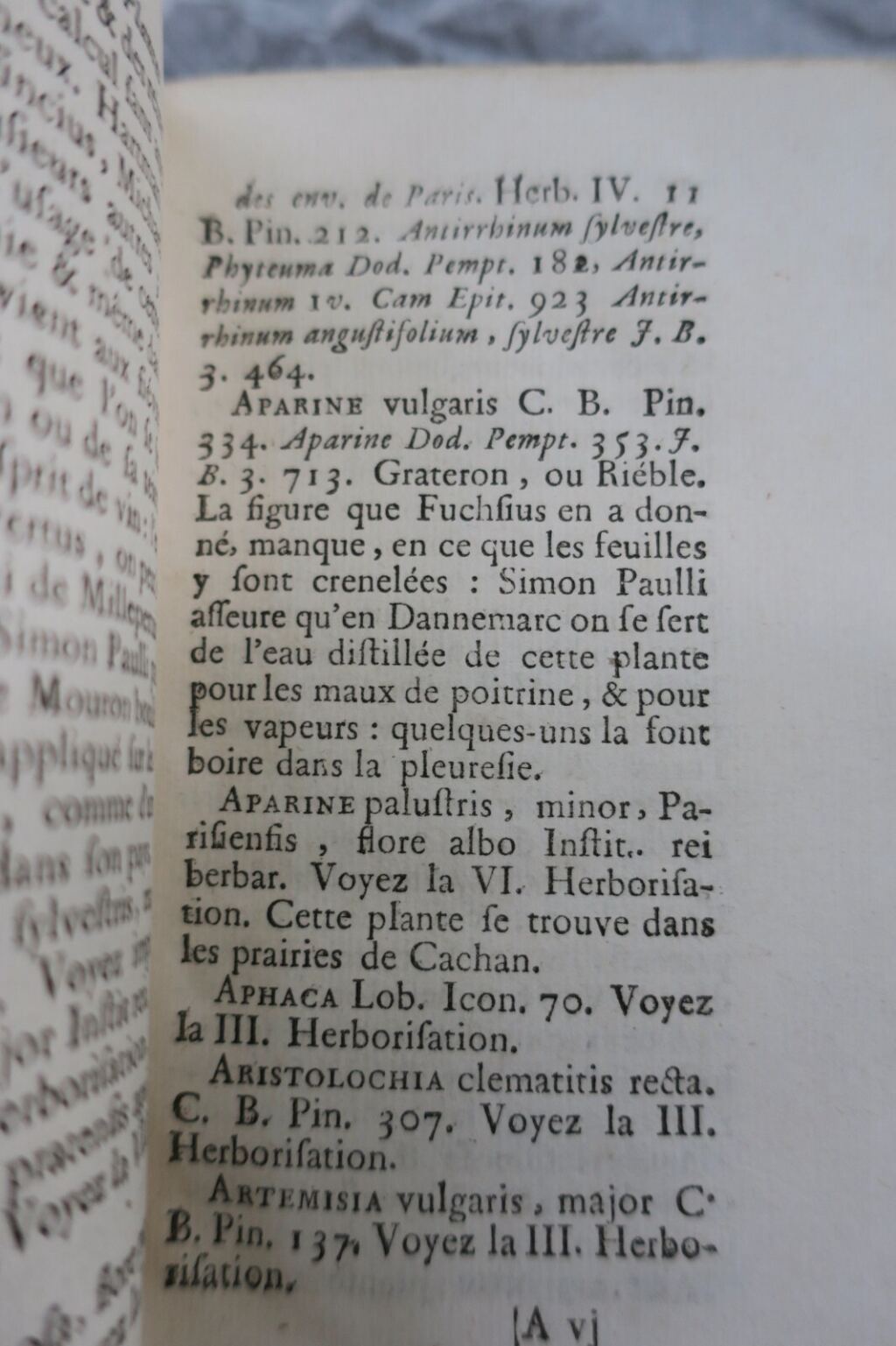 Botanische Studie zur Pariser Flora des 18. Jahrhunderts