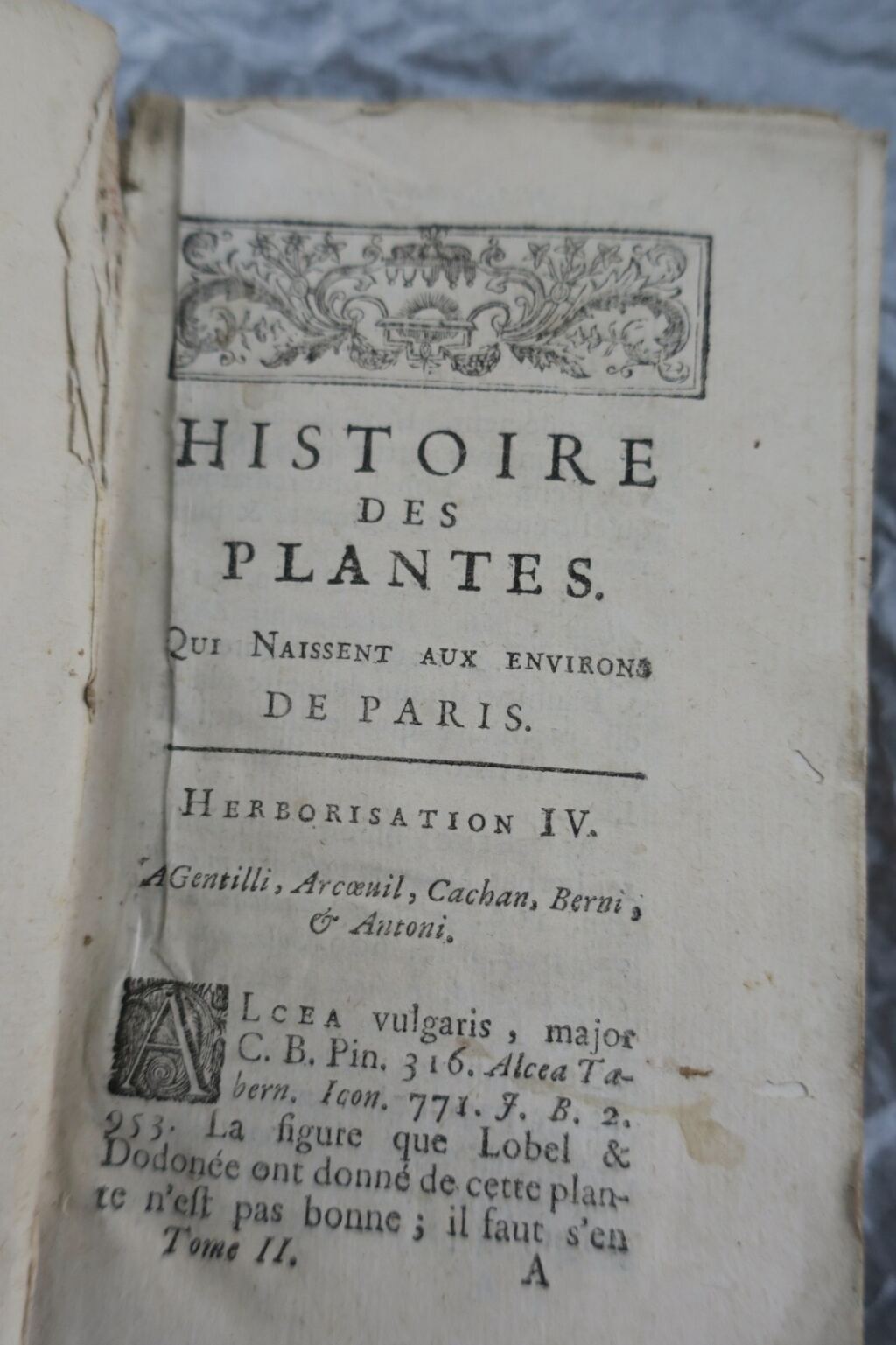 Botanische Studie zur Pariser Flora des 18. Jahrhunderts
