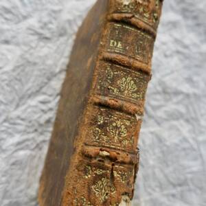 Histoire des plus illustres Favoris anciens et modernes 1660