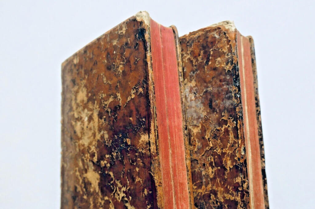 Geschichte des französischen Königreichs