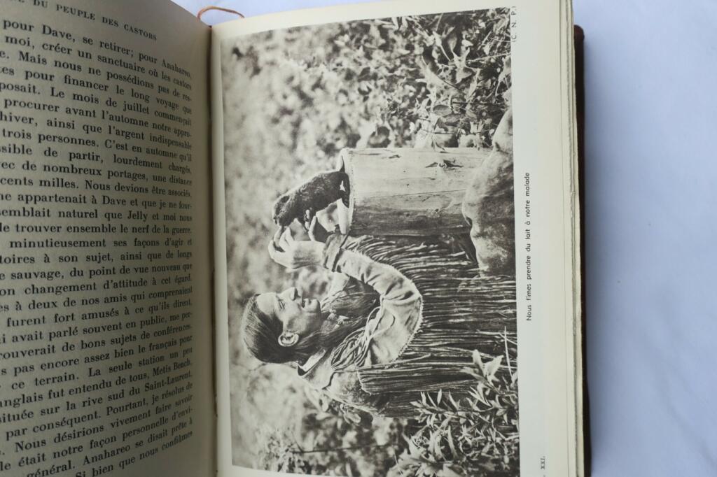 Man and Wild Creatures - Nature memoir