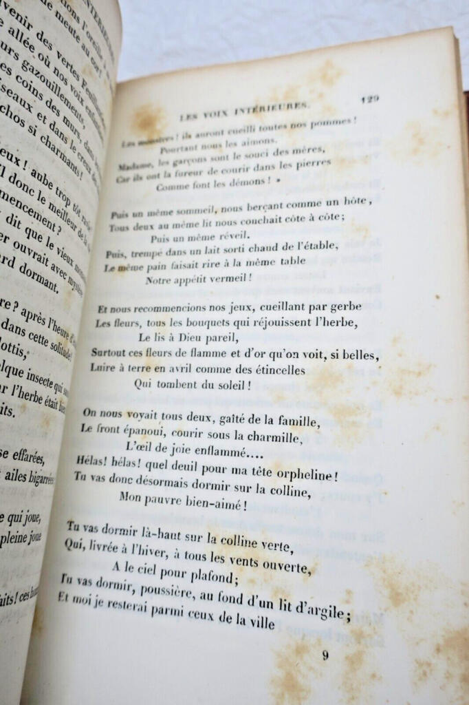 Innere Stimmen und Licht und Schatten Lyrik