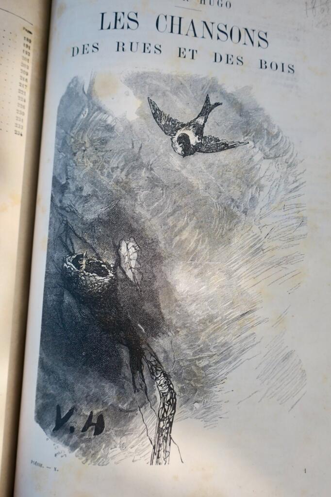 Victor Hugo’s Journey Along the Rhine