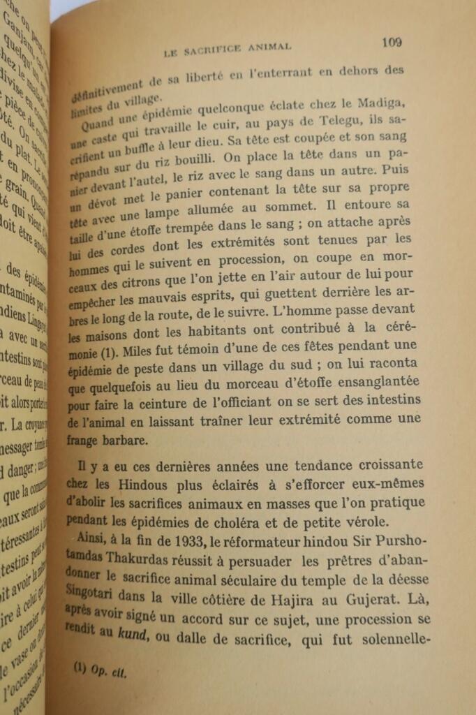 inde Magie blanche et magie noire aux Indes