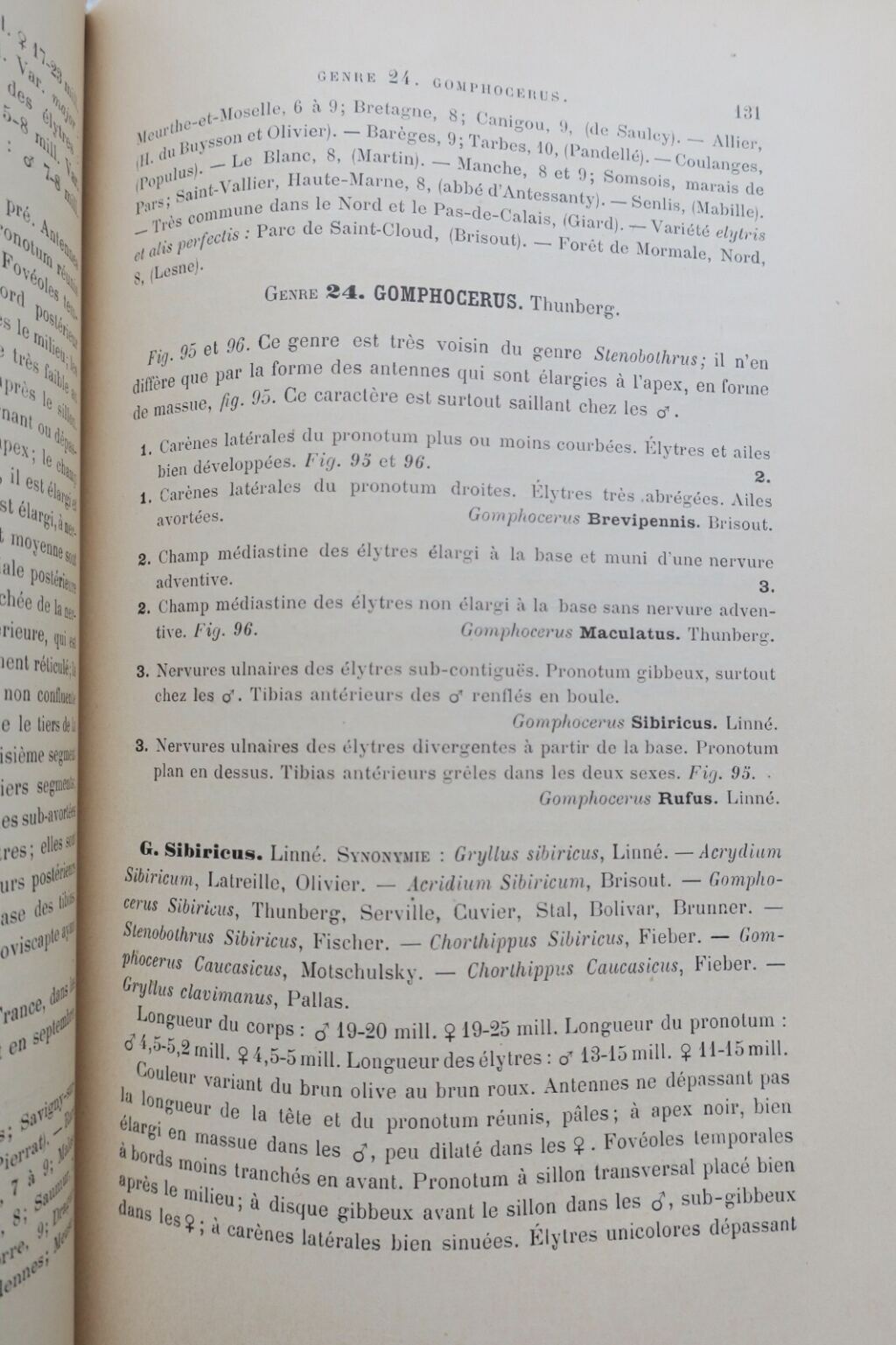 Französische Orthopterenfauna von 1890
