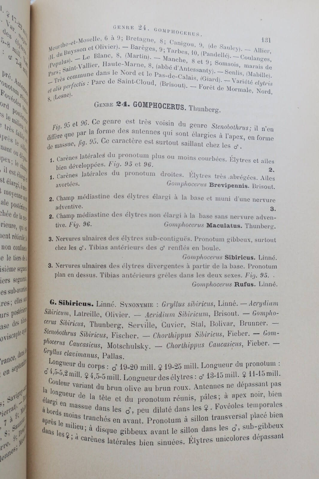 1890年フランス産直翅目昆虫誌 – Image 4