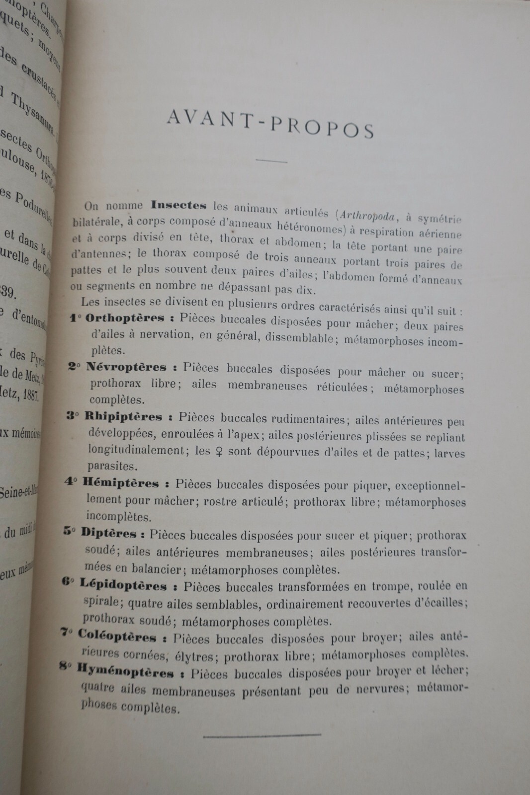 1890年フランス産直翅目昆虫誌 – Image 7