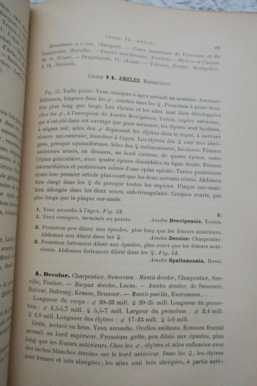 Französische Orthopterenfauna von 1890