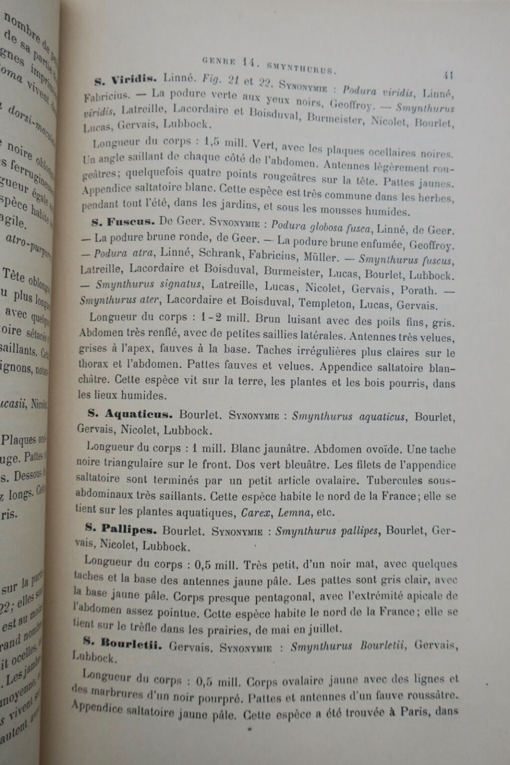 Französische Orthopterenfauna von 1890