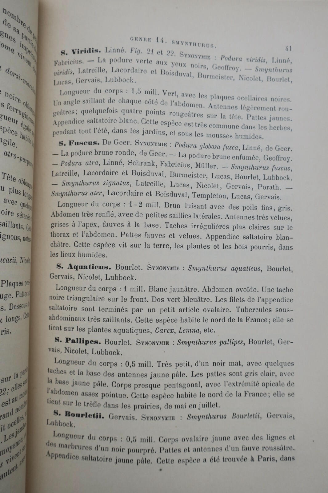 1890年フランス産直翅目昆虫誌 – Image 6