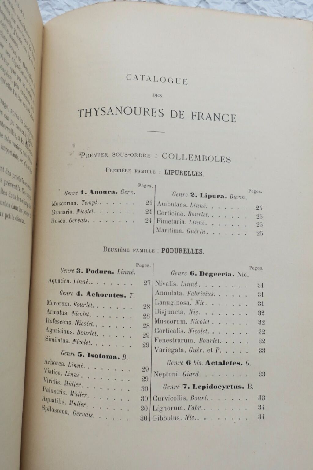 Französische Orthopterenfauna von 1890