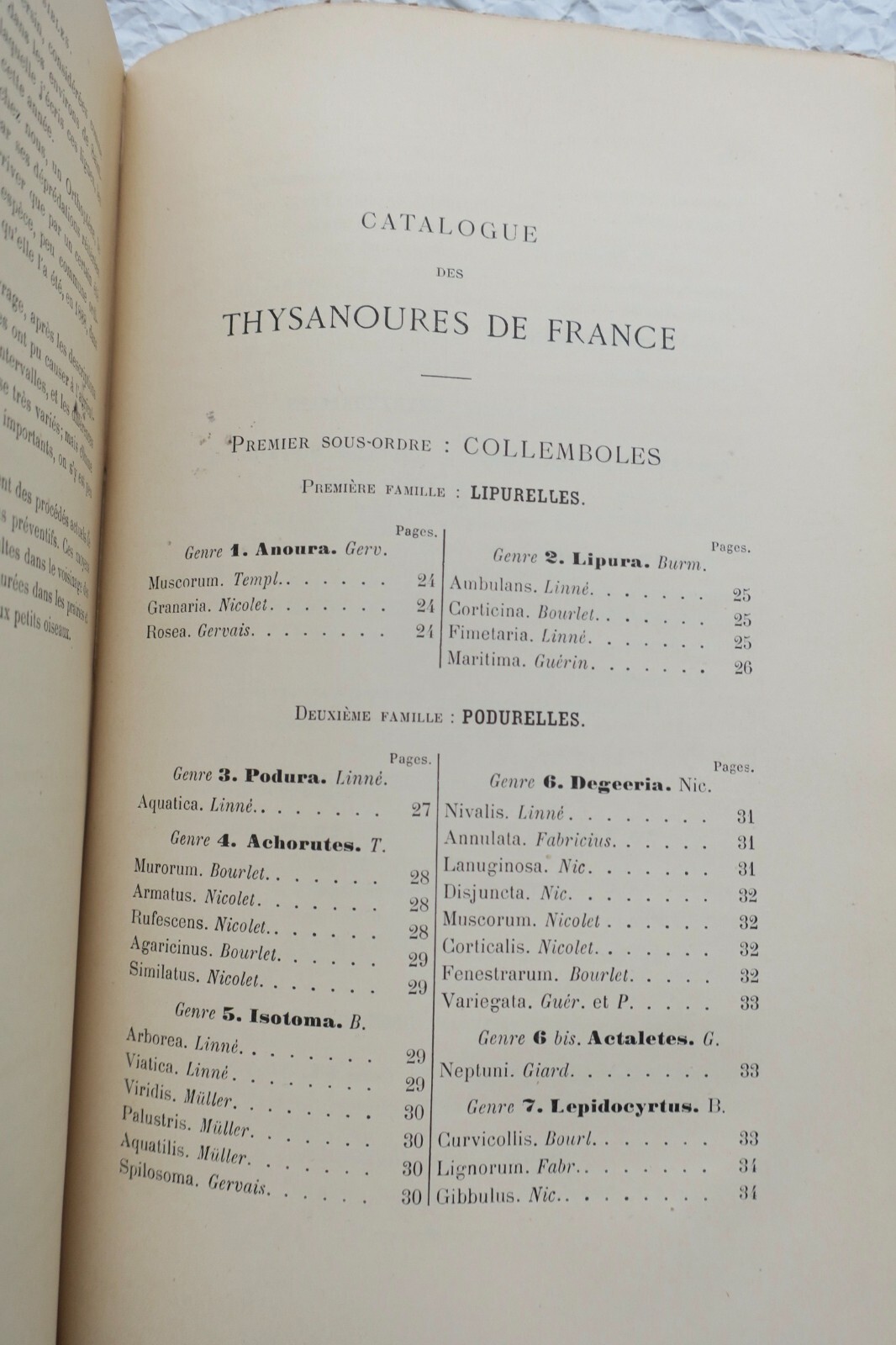 1890年フランス産直翅目昆虫誌 – Image 3