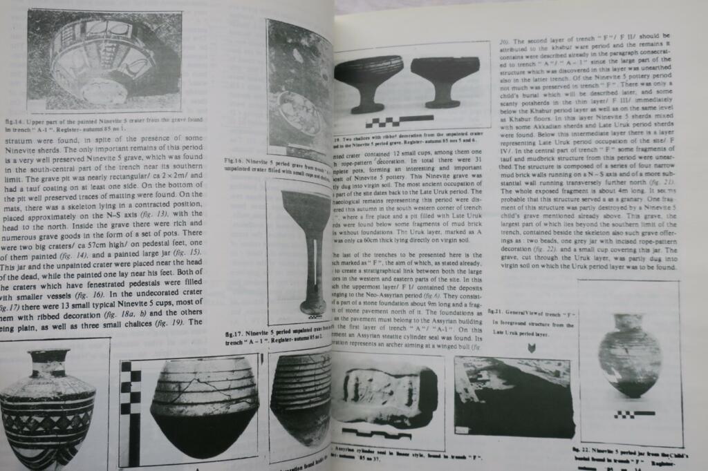 Irak Research on the antiquities of Saddam Dam basin salvage & other researches