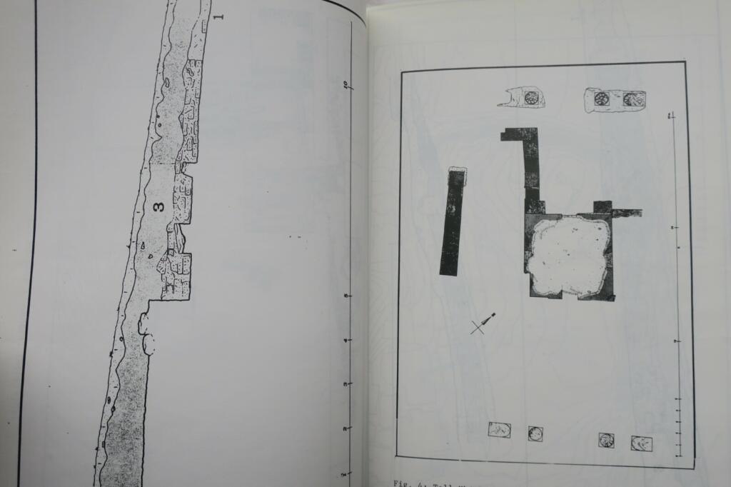 Iraqi antiquities research and salvage documentation