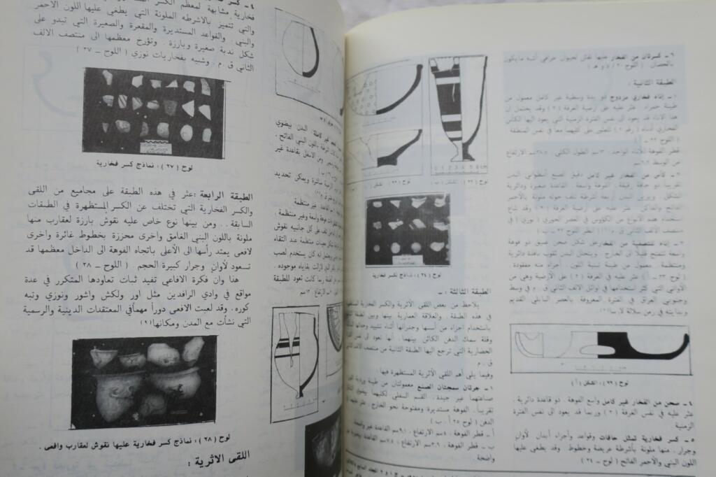 Iraqi antiquities research and salvage documentation